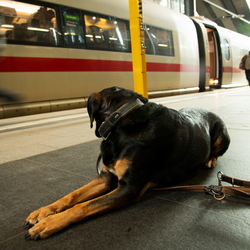 Prenzlau / Ückermünde